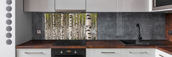 Cooker splashback Birch forest