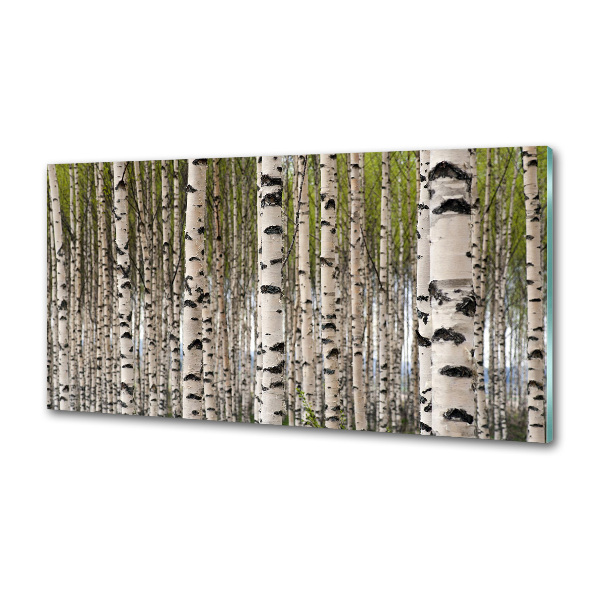 Cooker splashback Birch forest