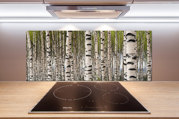 Cooker splashback Birch forest