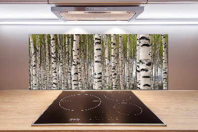 Cooker splashback Birch forest