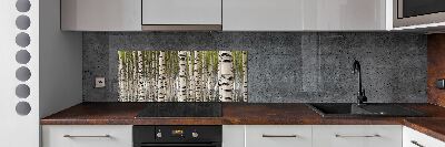 Cooker splashback Birch forest