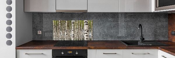 Cooker splashback Birch forest