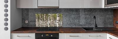 Cooker splashback Birch forest