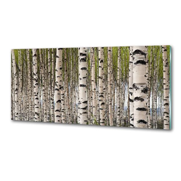 Cooker splashback Birch forest