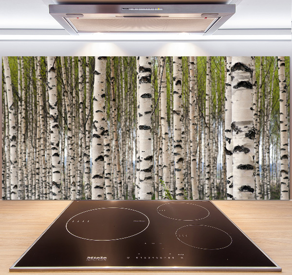 Cooker splashback Birch forest