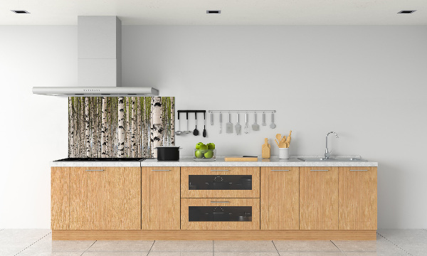 Cooker splashback Birch forest