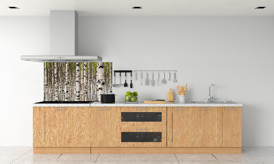 Cooker splashback Birch forest