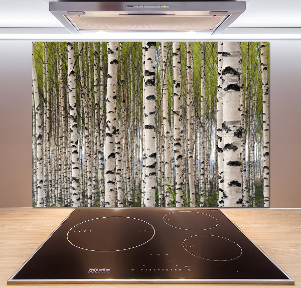 Cooker splashback Birch forest