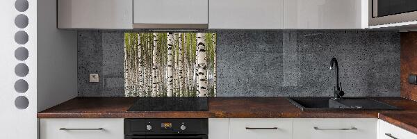 Cooker splashback Birch forest