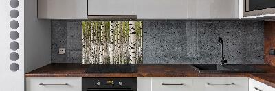 Cooker splashback Birch forest