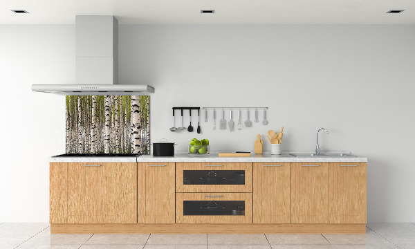 Cooker splashback Birch forest