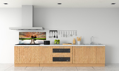 Cooker splashback Wooden bridge