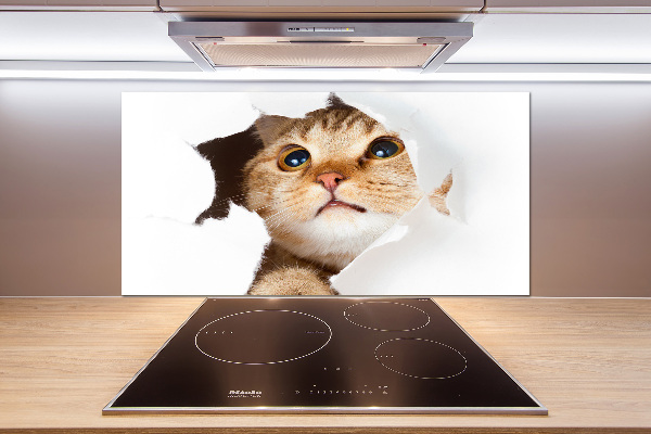 Kitchen splashback Cat in a hole