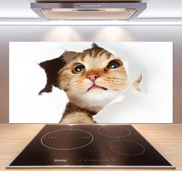 Kitchen splashback Cat in a hole