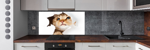 Kitchen splashback Cat in a hole