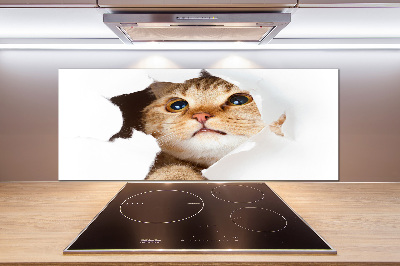 Kitchen splashback Cat in a hole