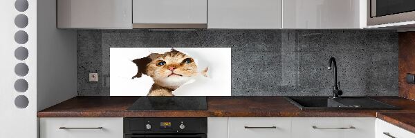 Kitchen splashback Cat in a hole