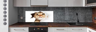 Kitchen splashback Cat in a hole