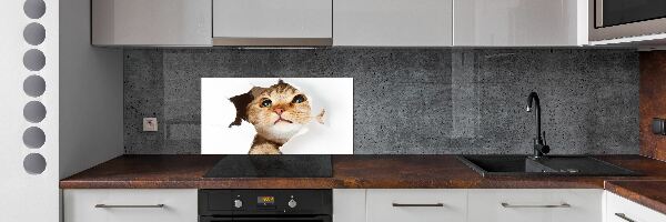 Kitchen splashback Cat in a hole