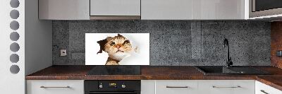 Kitchen splashback Cat in a hole