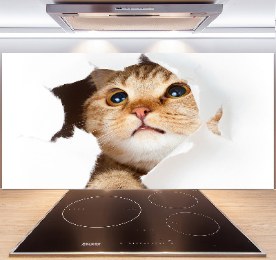 Kitchen splashback Cat in a hole