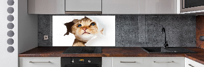 Kitchen splashback Cat in a hole