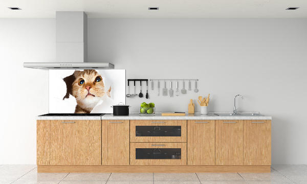 Kitchen splashback Cat in a hole