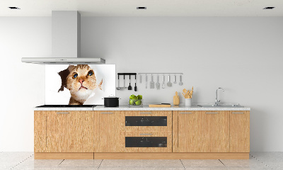 Kitchen splashback Cat in a hole