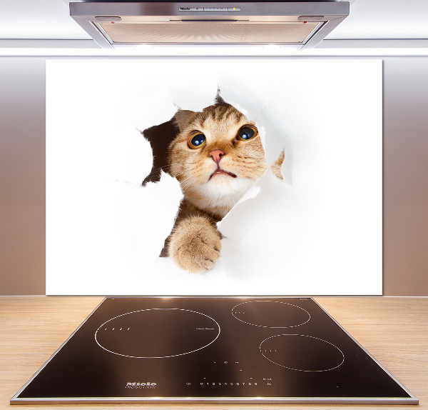 Kitchen splashback Cat in a hole