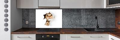 Kitchen splashback Cat in a hole