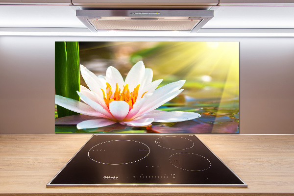 Cooker splashback water lily