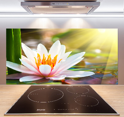 Cooker splashback water lily