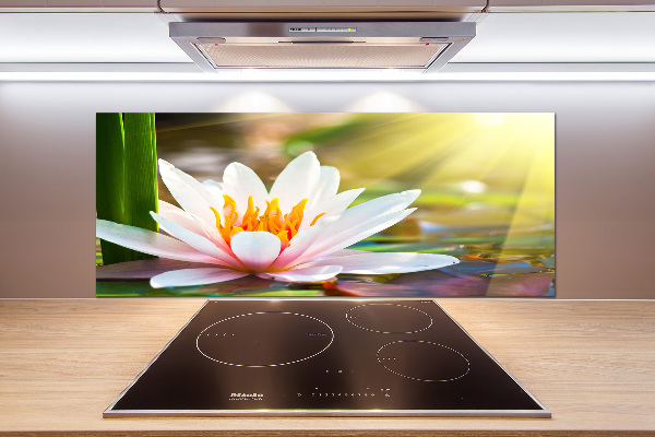 Cooker splashback water lily