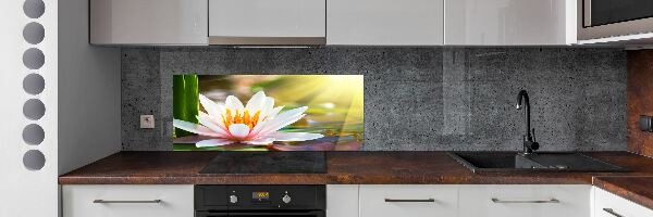 Cooker splashback water lily