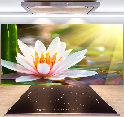 Cooker splashback water lily