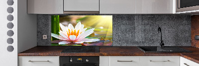 Cooker splashback water lily