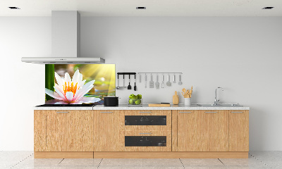 Cooker splashback water lily