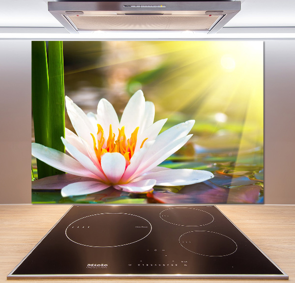 Cooker splashback water lily