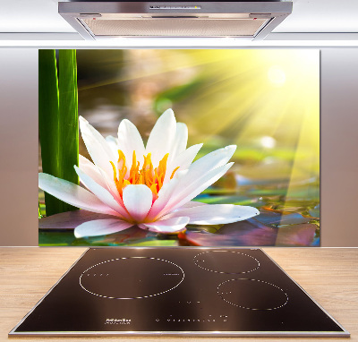 Cooker splashback water lily