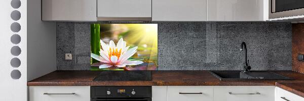 Cooker splashback water lily