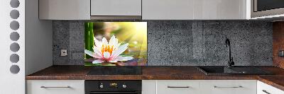 Cooker splashback water lily