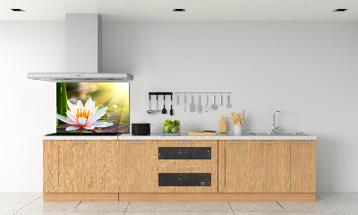 Cooker splashback water lily