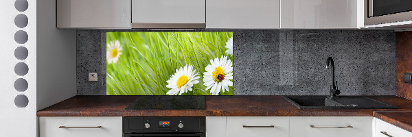 Cooker splashback Daisy