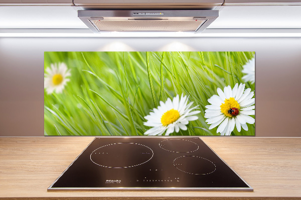 Cooker splashback Daisy