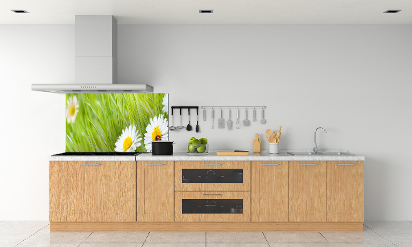 Cooker splashback Daisy