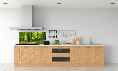 Cooker splashback Forest track