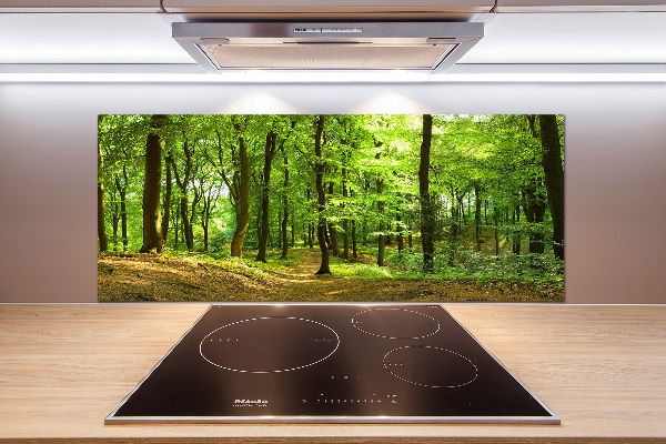 Cooker splashback Forest track