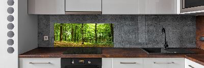 Cooker splashback Forest track