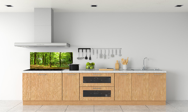 Cooker splashback Forest track