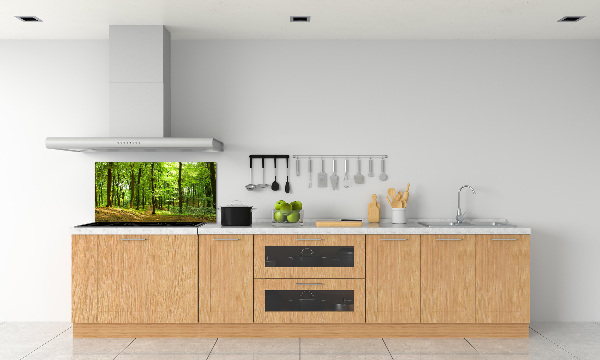 Cooker splashback Forest track